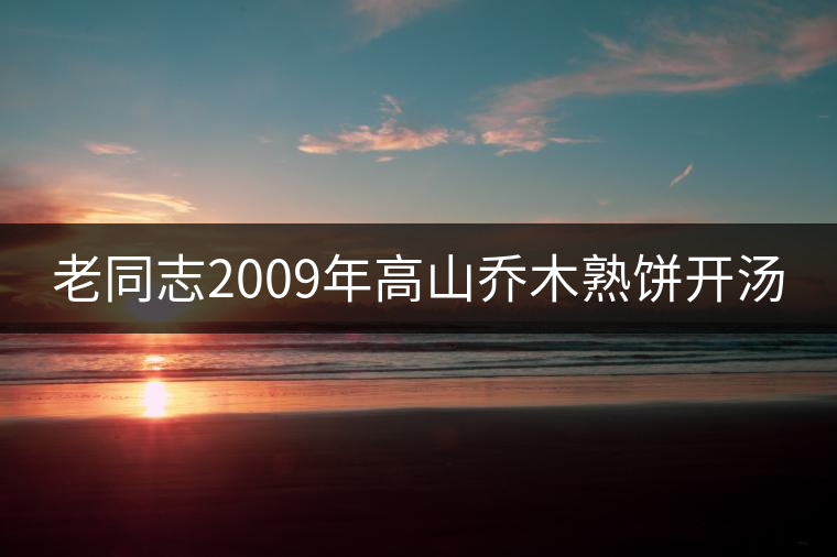 老同志2009年高山喬木熟餅開湯