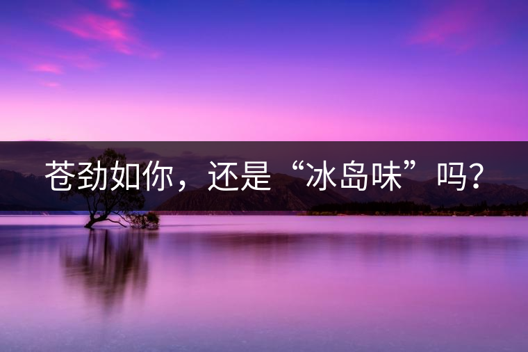 蒼勁如你，還是“冰島味”嗎？