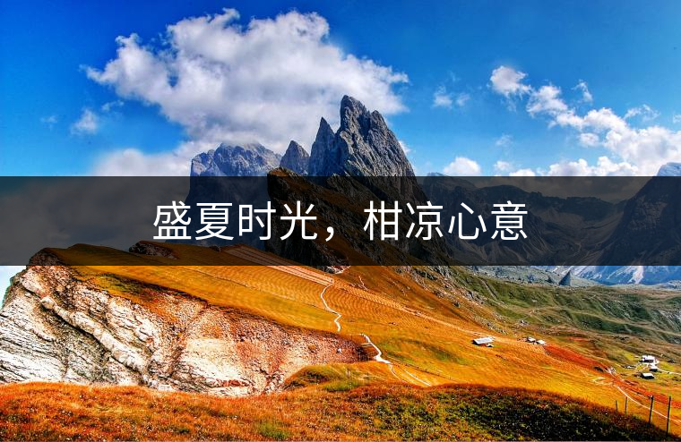 盛夏時(shí)光，柑涼心意