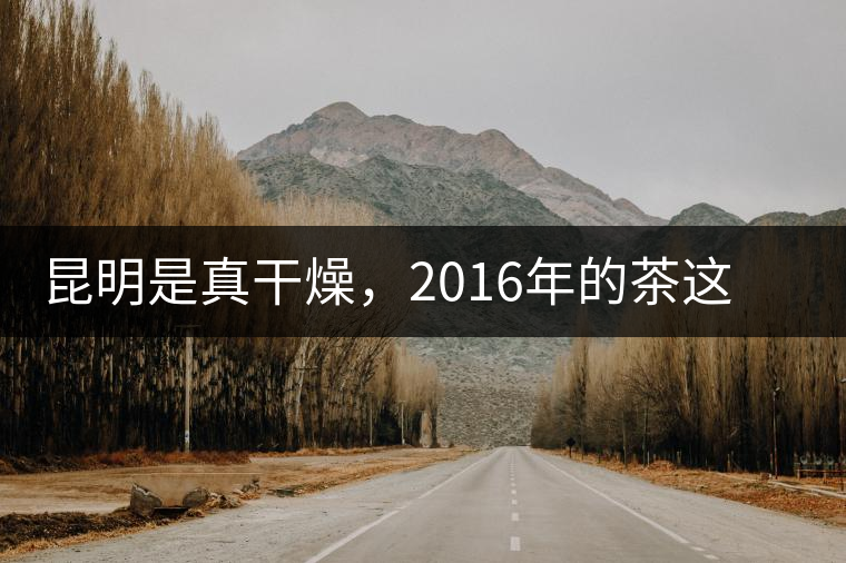 昆明是真干燥，2016年的茶這個湯色就