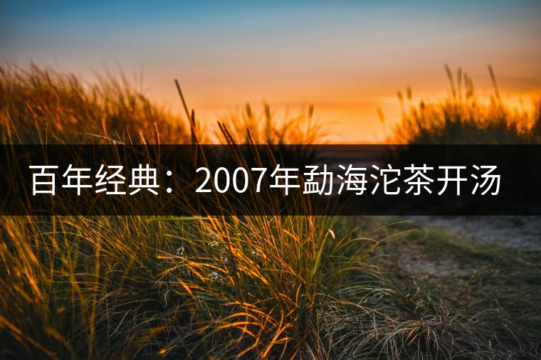 百年經(jīng)典：2007年勐海沱茶開湯品鑒