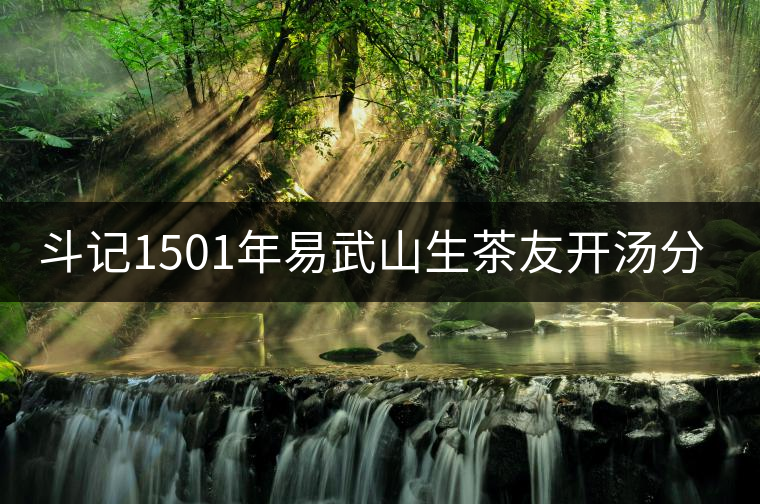 斗記1501年易武山生茶友開湯分享 斗記1501年易武山生茶友開湯分享