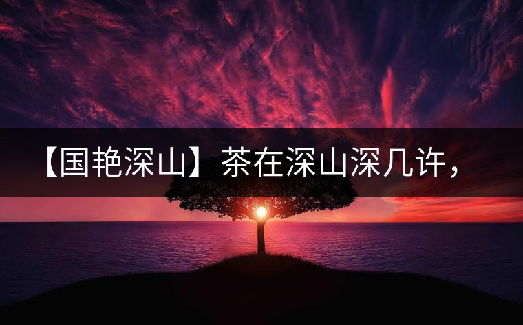 【國艷深山】茶在深山深幾許，布朗味釅釅幾分！