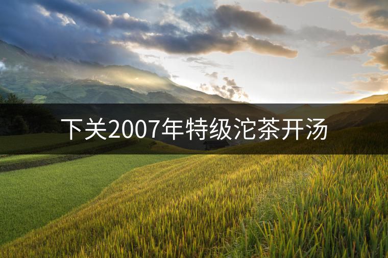 下關(guān)2007年特級沱茶開湯