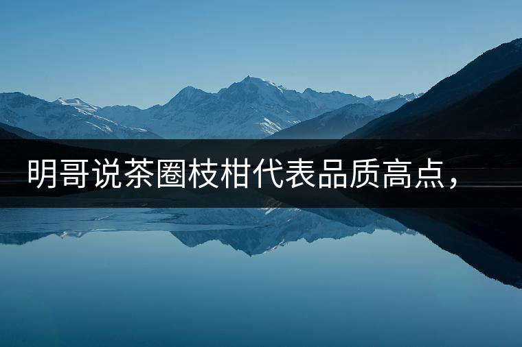 明哥說茶圈枝柑代表品質(zhì)高點，是玩家級的產(chǎn)品