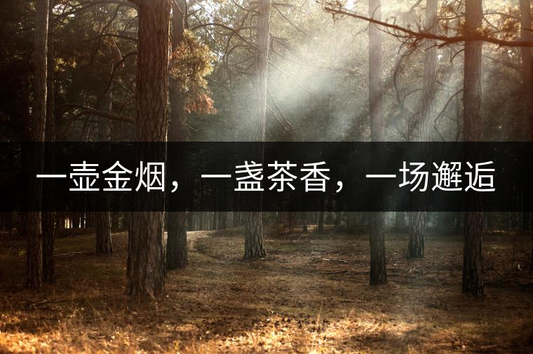 一壺金煙，一盞茶香，一場(chǎng)邂逅