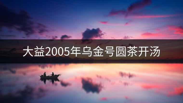大益2005年烏金號圓茶開湯