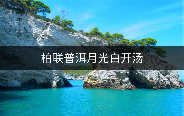柏聯(lián)普洱月光白開湯