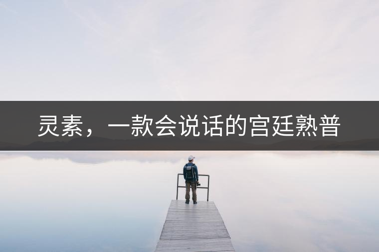 靈素，一款會說話的宮廷熟普