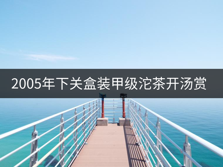 2005年下關盒裝甲級沱茶開湯賞析