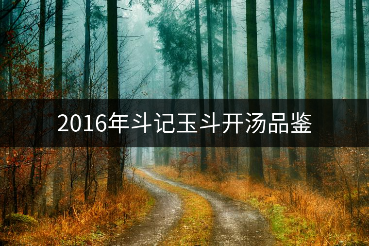 2016年斗記玉斗開(kāi)湯品鑒