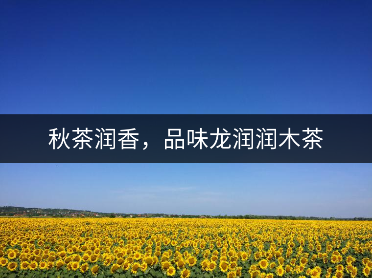 秋茶潤香，品味龍潤潤木茶