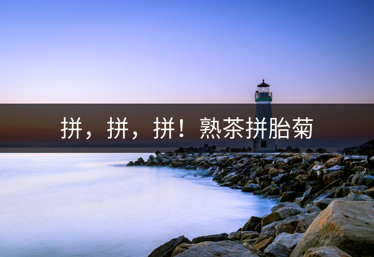 拼，拼，拼！熟茶拼胎菊