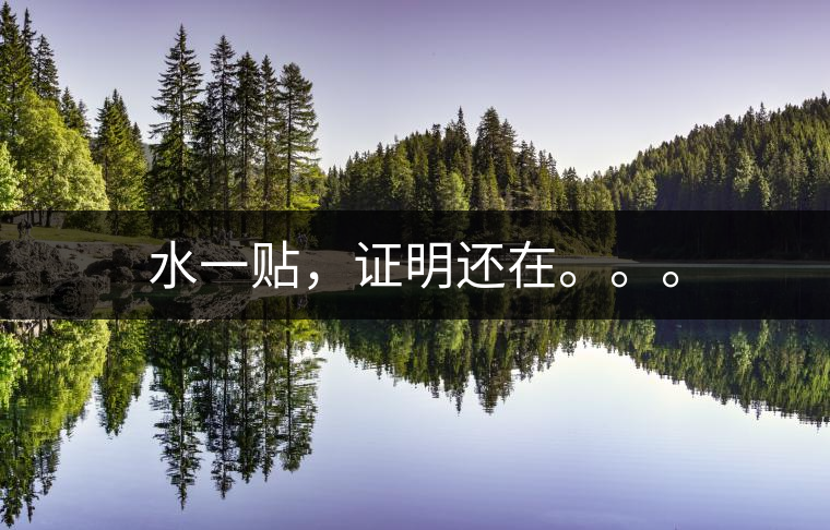 水一貼，證明還在。。。