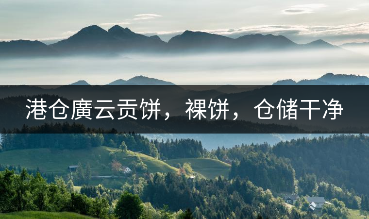 港倉(cāng)廣云貢餅，裸餅，倉(cāng)儲(chǔ)干凈