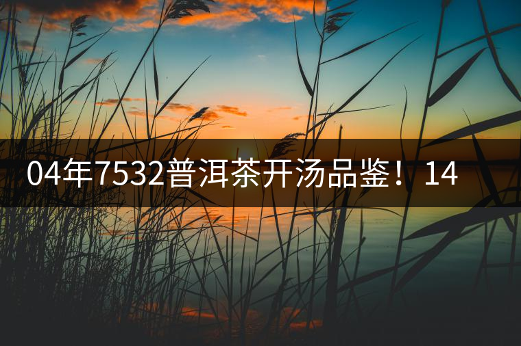 04年7532普洱茶開湯品鑒！14年轉(zhuǎn)化，經(jīng)典雪印配方！