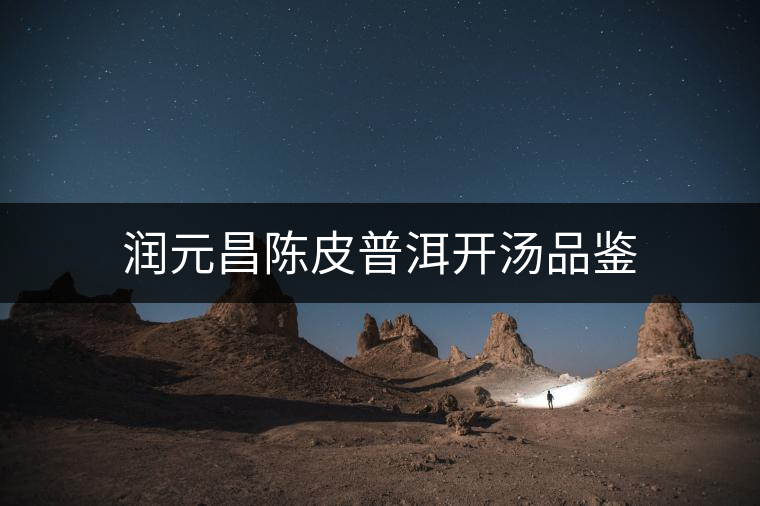 潤元昌陳皮普洱開湯品鑒