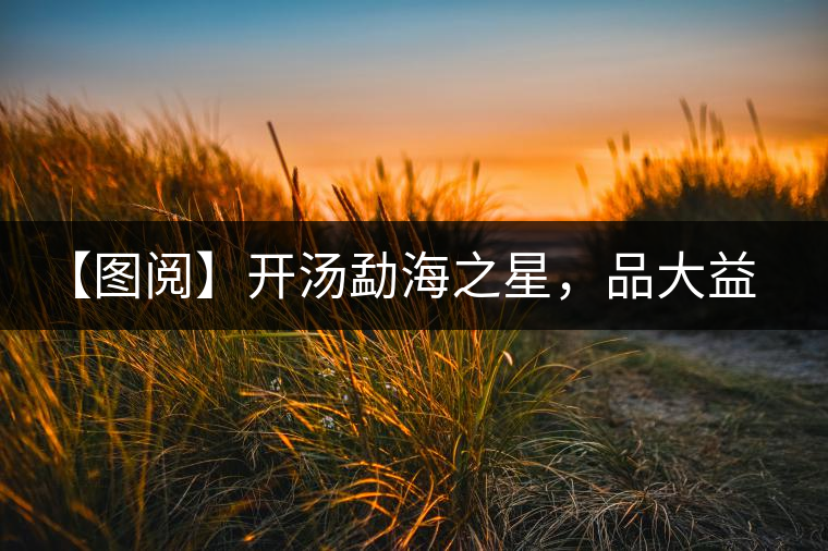 【圖閱】開湯勐海之星，品大益熟茶滋味