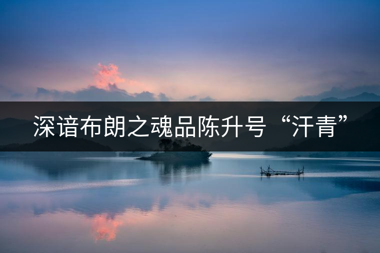 深諳布朗之魂品陳升號“汗青”