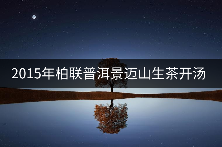 2015年柏聯(lián)普洱景邁山生茶開湯賞析 2015年柏聯(lián)普洱景邁山生茶開湯賞析