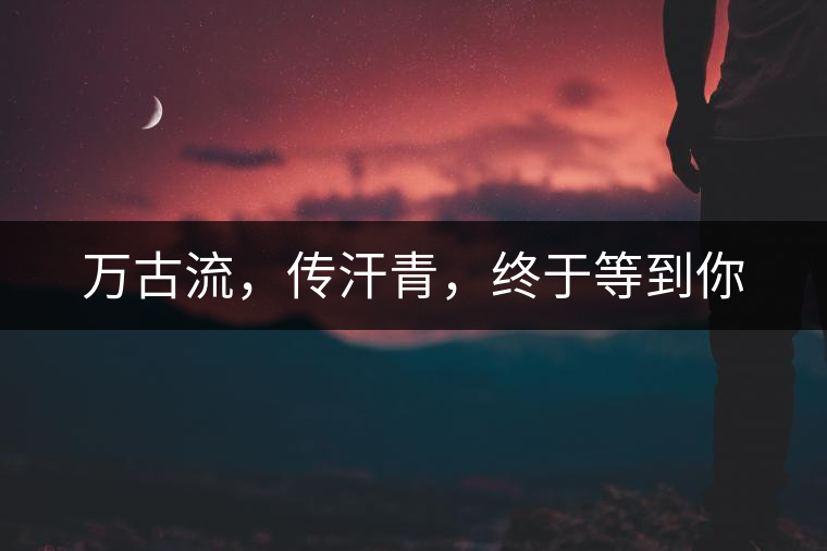 萬古流，傳汗青，終于等到你