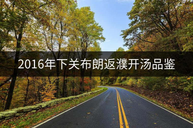 2016年下關(guān)布朗返濮開湯品鑒 2016年下關(guān)布朗返濮開湯品鑒