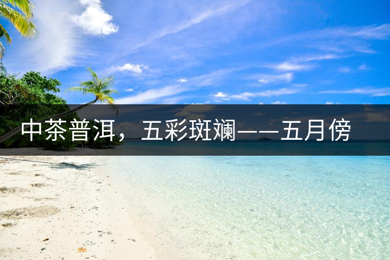 中茶普洱，五彩斑斕——五月傍晚，一道茶