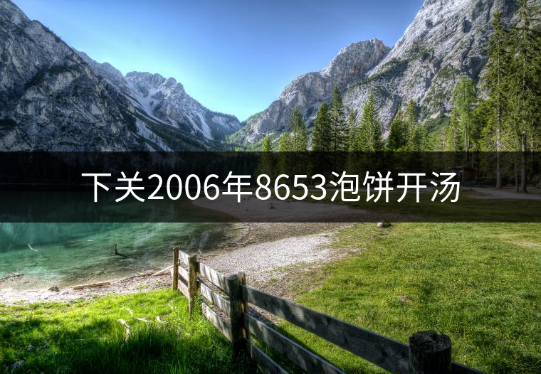 下關(guān)2006年8653泡餅開湯 下關(guān)2006年8653泡餅開湯
