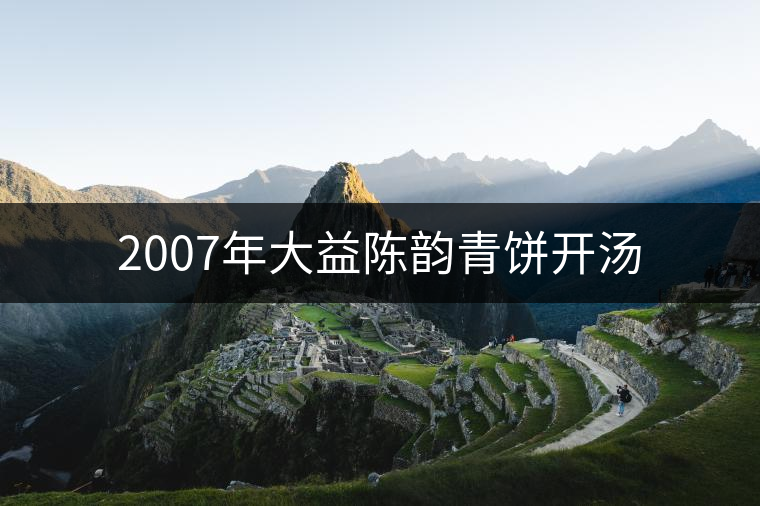 2007年大益陳韻青餅開(kāi)湯