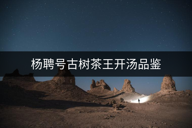 楊聘號(hào)古樹茶王開湯品鑒