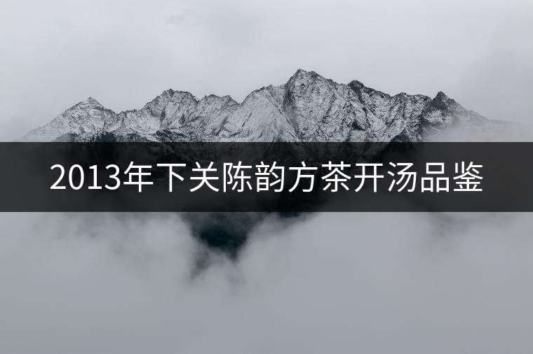 2013年下關(guān)陳韻方茶開湯品鑒