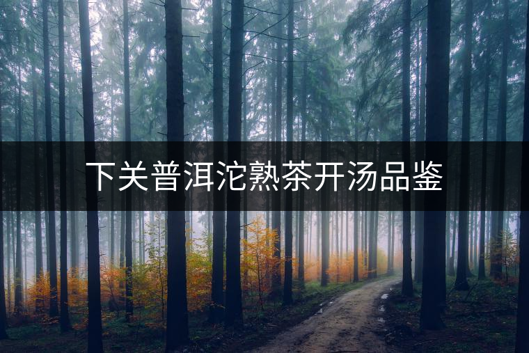 下關(guān)普洱沱熟茶開湯品鑒