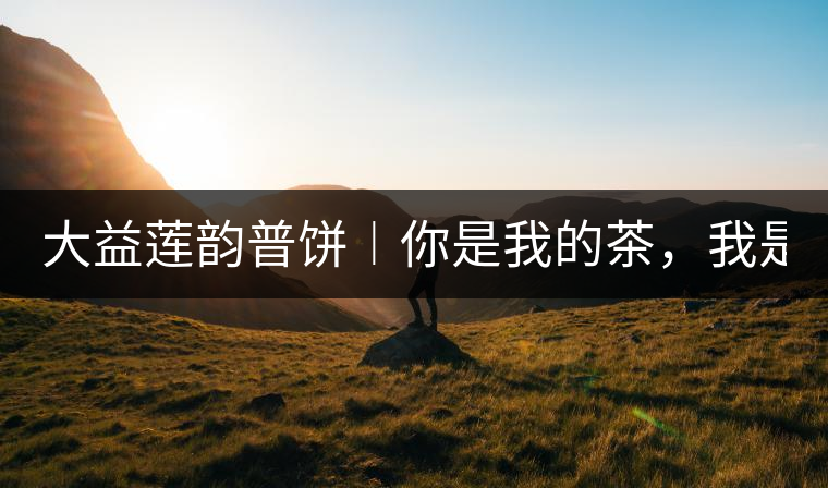 大益蓮韻普餅︱你是我的茶，我是你的人！