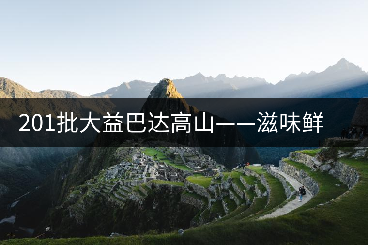 201批大益巴達高山——滋味鮮爽醇厚，回甘高而持久