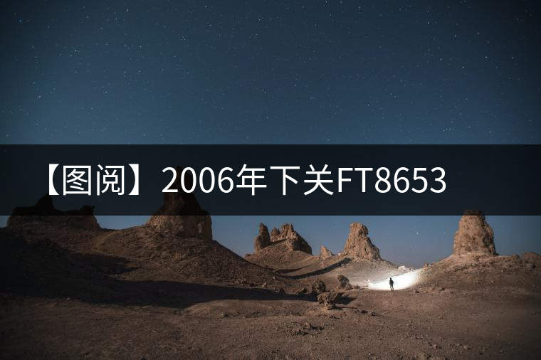 【圖閱】2006年下關(guān)FT8653鐵餅開湯