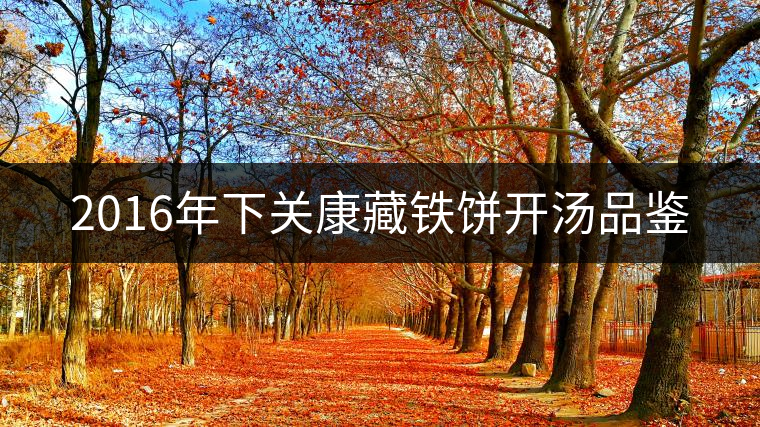 2016年下關康藏鐵餅開湯品鑒