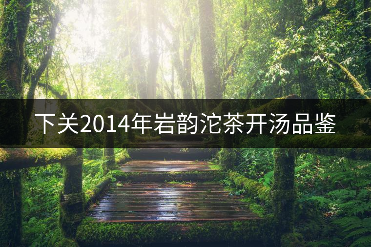 下關2014年巖韻沱茶開湯品鑒