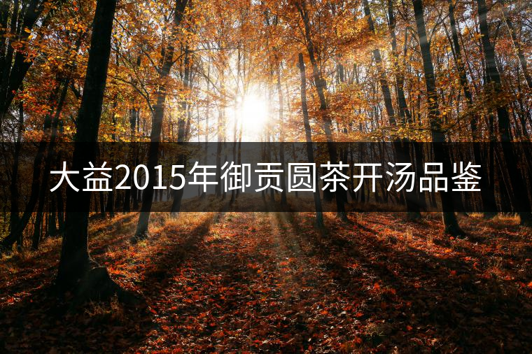 大益2015年御貢圓茶開(kāi)湯品鑒