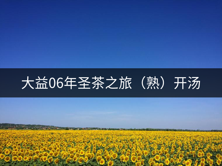 大益06年圣茶之旅（熟）開(kāi)湯