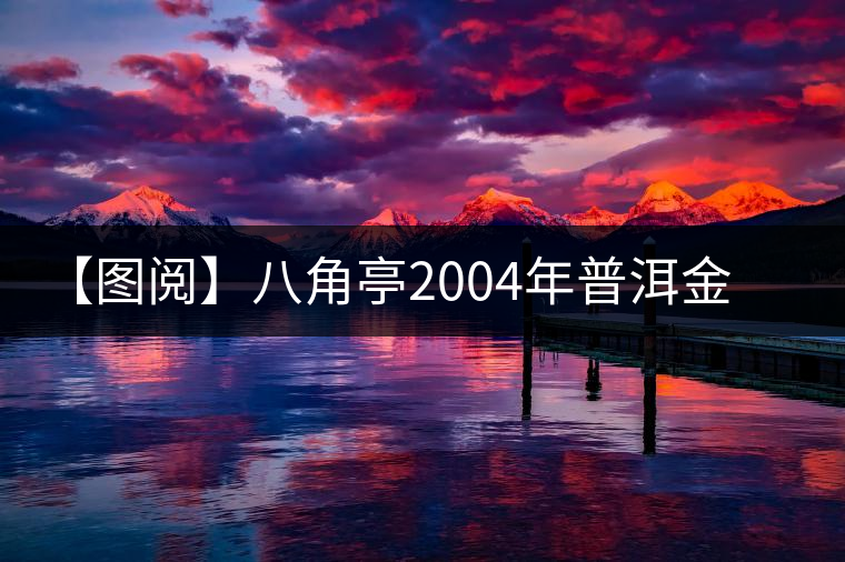 【圖閱】八角亭2004年普洱金毫開湯