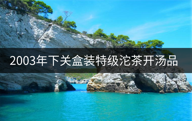 2003年下關(guān)盒裝特級沱茶開湯品鑒