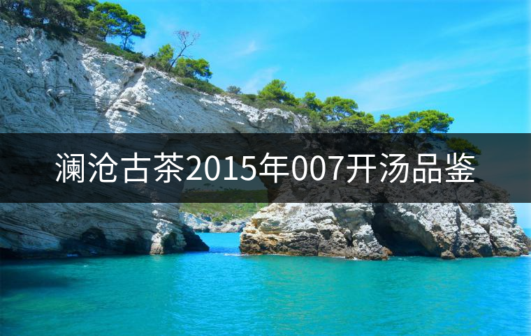 瀾滄古茶2015年007開湯品鑒
