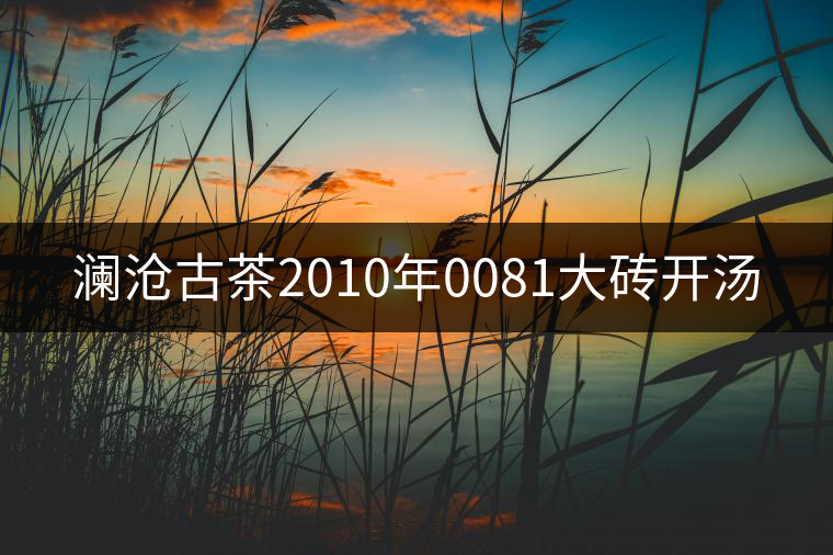 瀾滄古茶2010年0081大磚開(kāi)湯