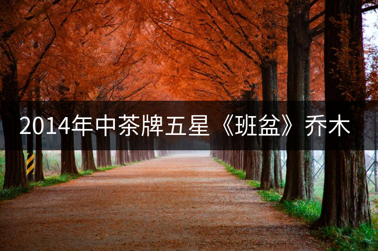 2014年中茶牌五星《班盆》喬木老樹