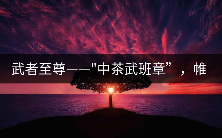 武者至尊——