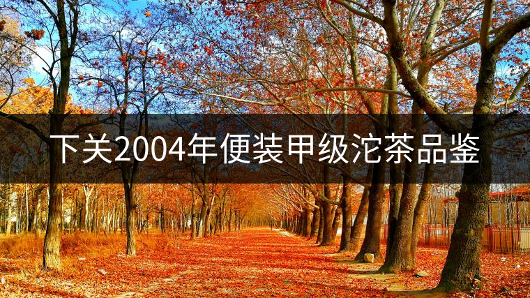 下關(guān)2004年便裝甲級(jí)沱茶品鑒