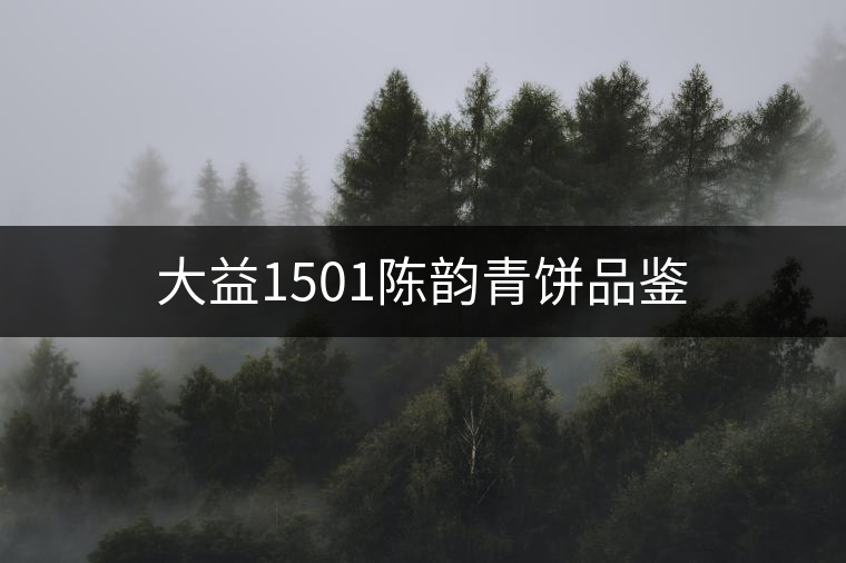 大益1501陳韻青餅品鑒 大益1501陳韻青餅品鑒