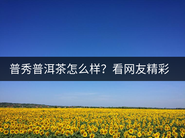 普秀普洱茶怎么樣？看網(wǎng)友精彩回答