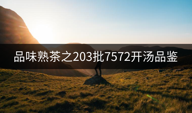 品味熟茶之203批7572開湯品鑒