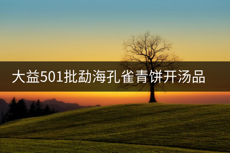 大益501批勐?？兹盖囡為_湯品鑒